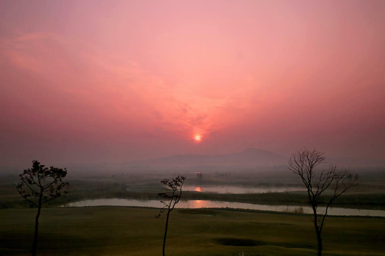 Latierra Terrace Golf Village Taean Exteriör bild